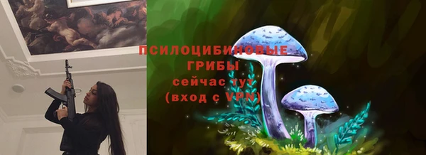 метадон Арсеньев