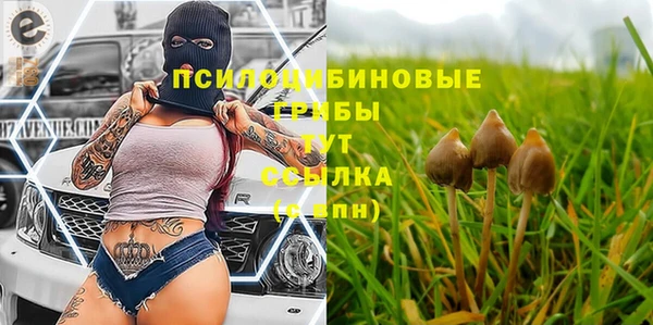 метадон Арсеньев