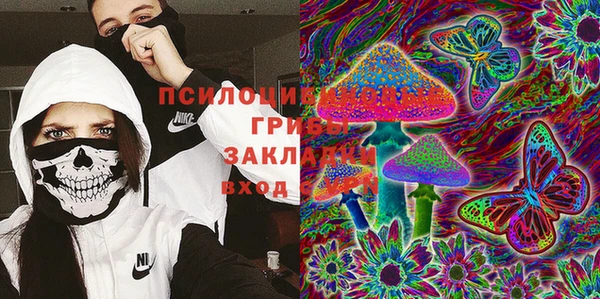 метадон Арсеньев