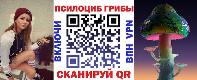 Псилоцибиновые грибы Psilocybe  Артёмовск 